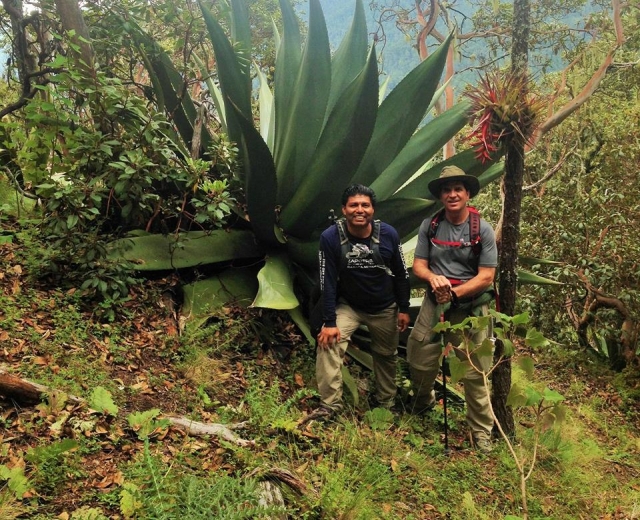 Conoce tu vegetacion 