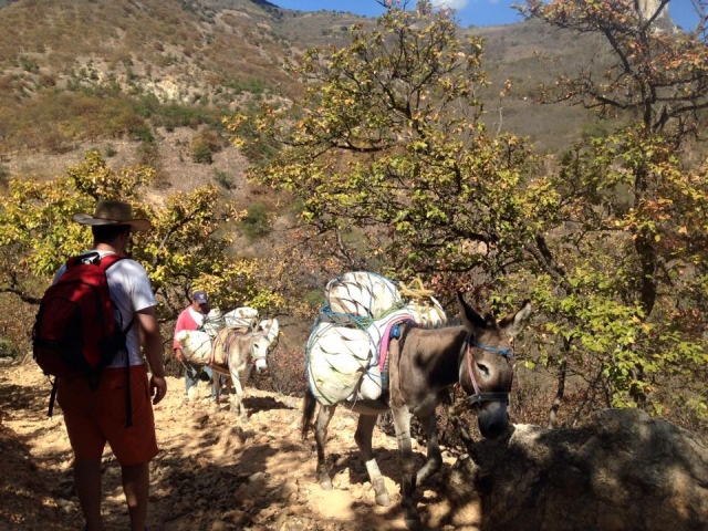 Disfruta de tu camino 