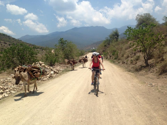 Conociendo las comunidades