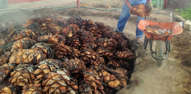 Descubre el modo de elaboracion 