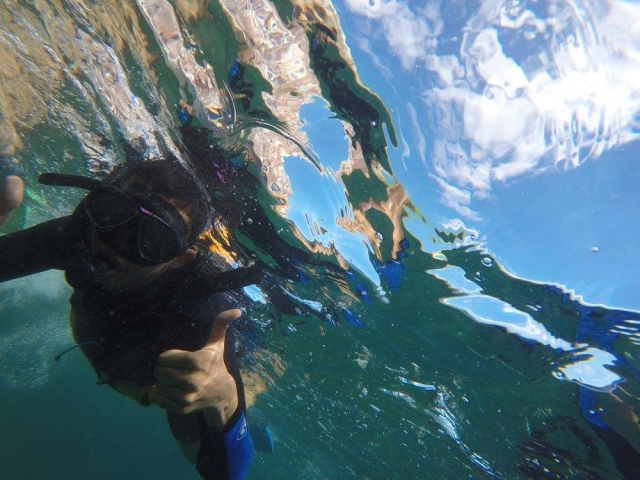 practica snorkel en el mar de cortes