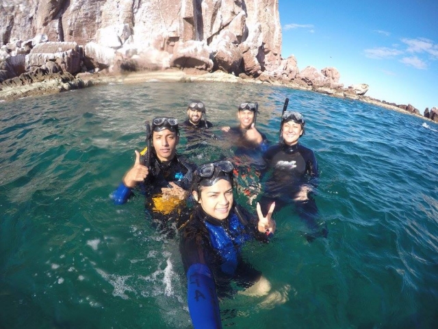 Descubre un mundo marino 