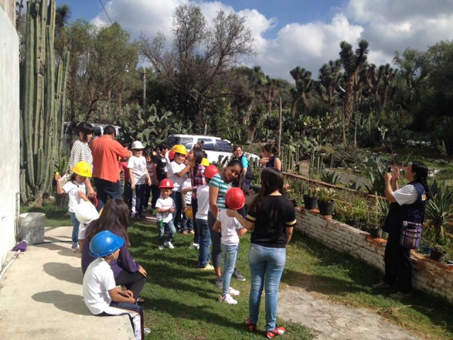 Campamentos de verano