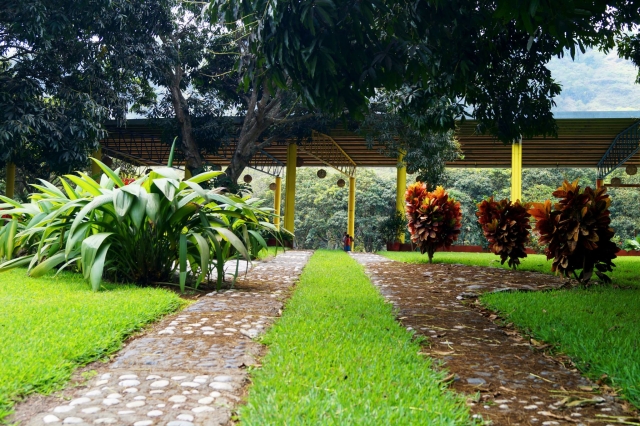 Decoracion ambiental 