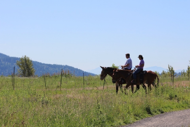 Recorrido por baja california sur