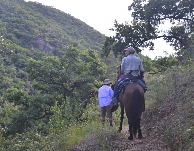 Rutas a caballo en baja california sur 