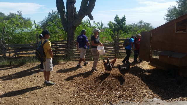 Aprendiendo en el campamento 