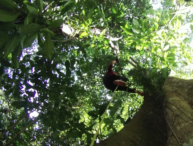 Enchufe con la naturaleza 