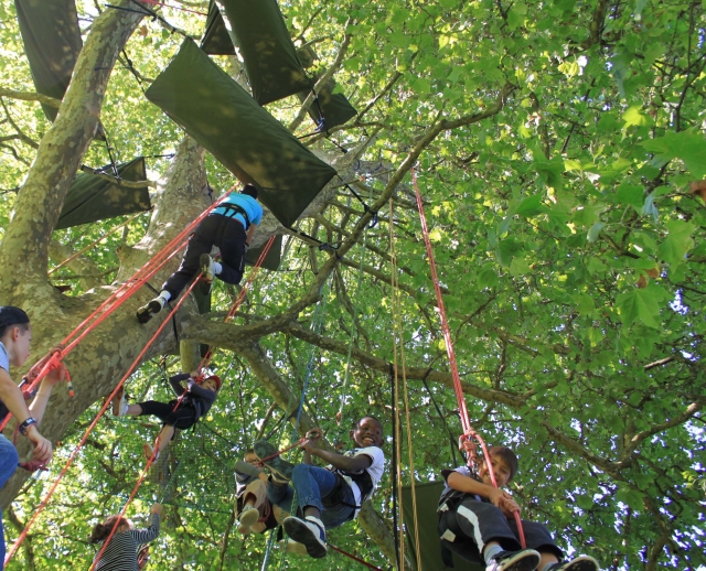 Conectando con los arboles 