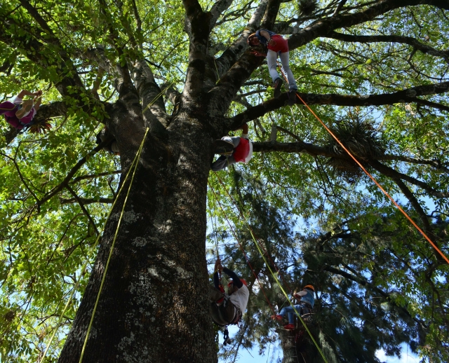 Disfruta de la naturaleza 