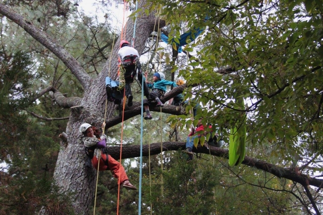 Conociendo la selvas desde las alturas 