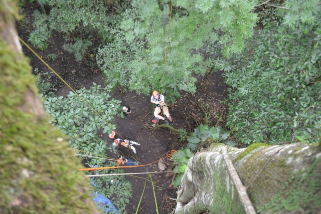 Rappel por los arboles 