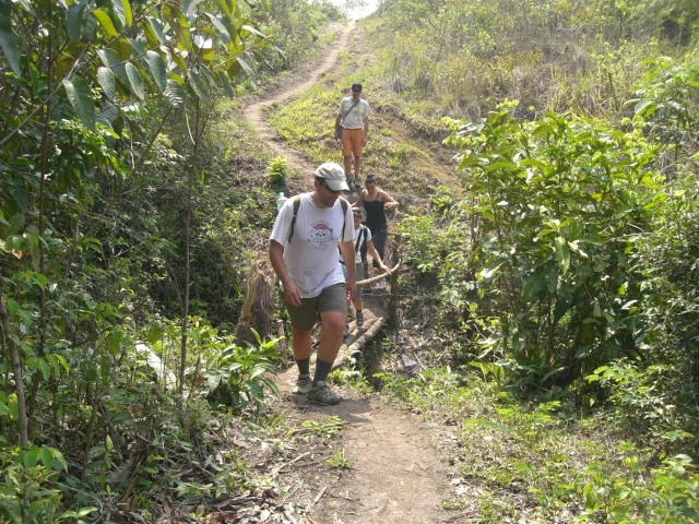 Senderos en el bosque 