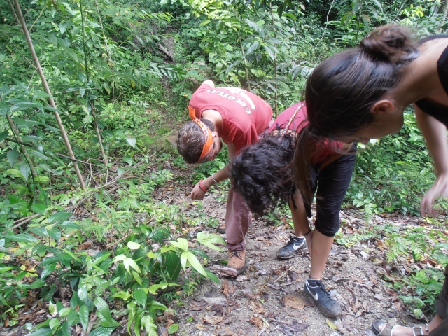 Reconocimiento de huellas