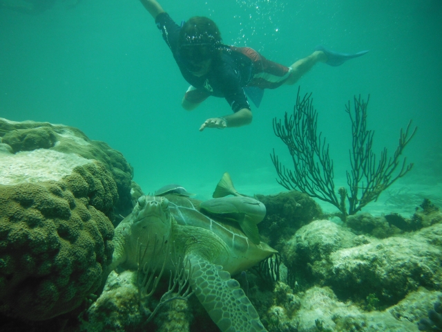 Snorkel en el caribe 