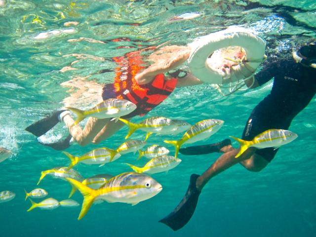 Snorkel guiado 