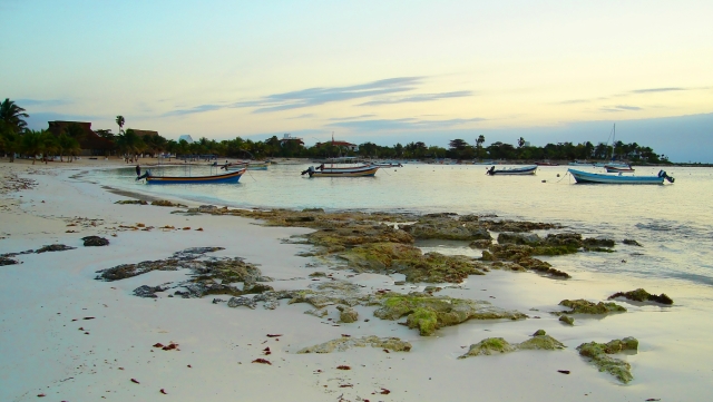 Visita guiada por la lpaya