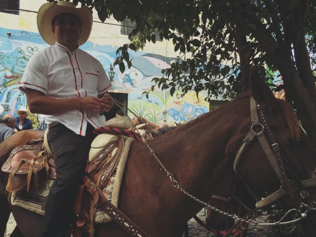 Ruta a caballo en el centro 