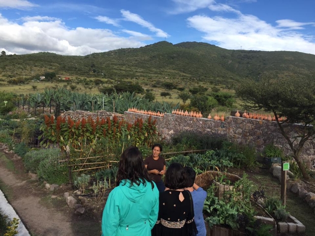 Recorrido en el rancho organico 