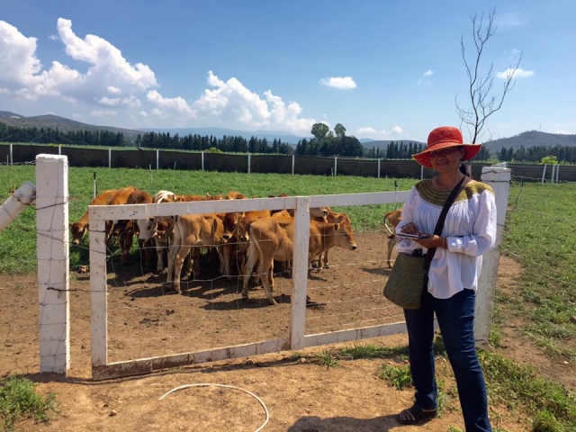 Visita guiada en la granja 