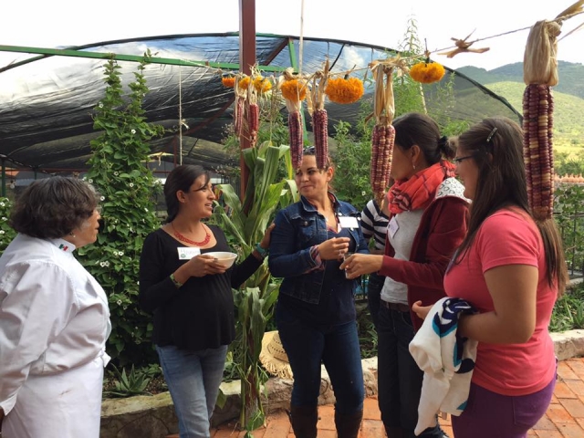 Talleternera grupales 