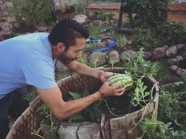 Cultivas tus propios vegetales 