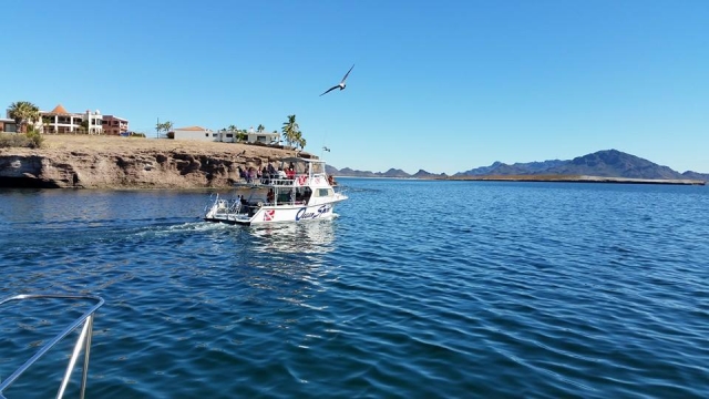 Prepara el dia de pesca familiar 