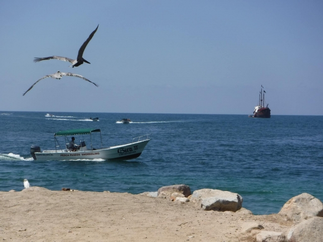 Hermosa Bahía de Banderas
