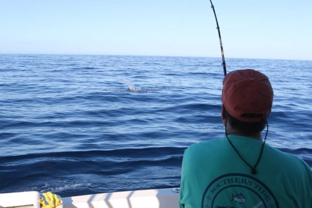 Monitor pescando desde el barco
