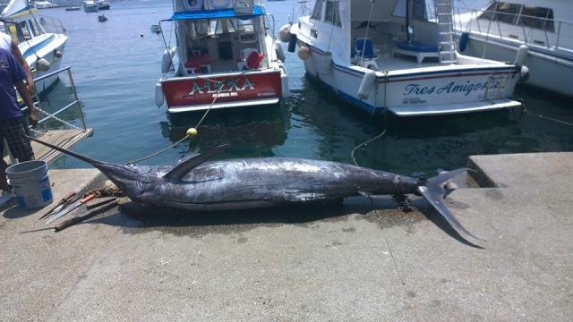 Pesca del mes de Abril