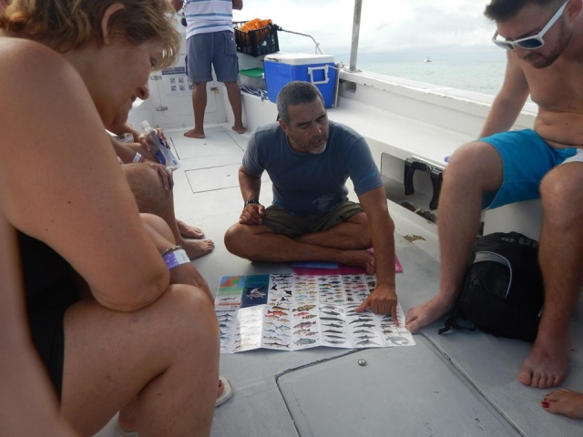 Enseñando las especies