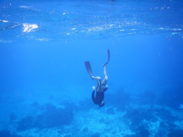 Sumérgete con nosotros