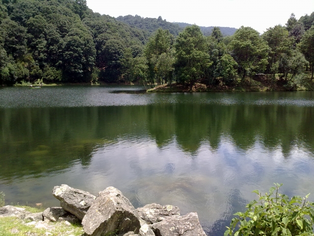 El pantano
