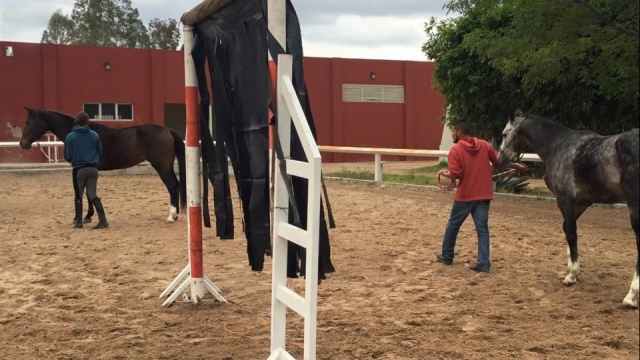Con los monitoternera