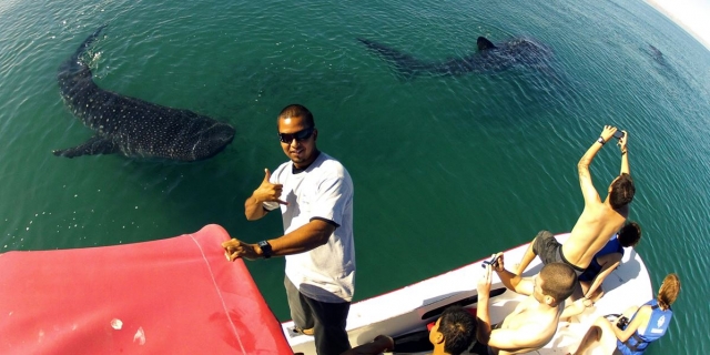 Disfruta de la actividad