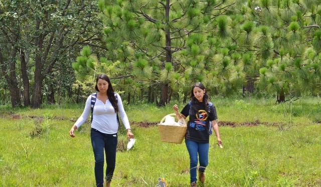 Senderismo en los bosque de seta