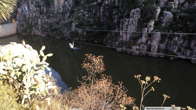 Desciende en el pantano