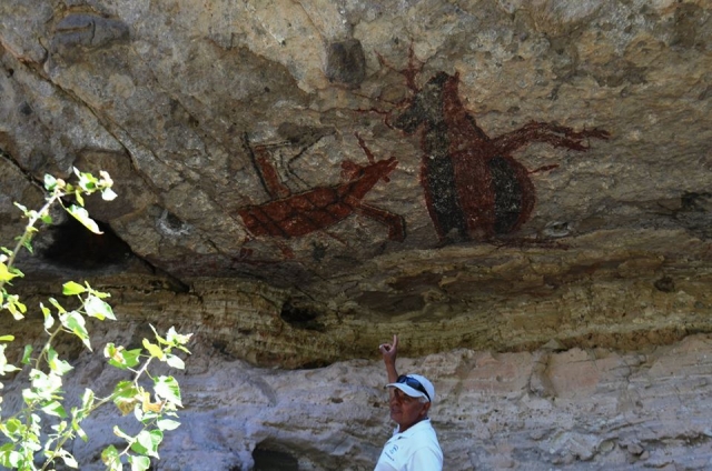 El monitor explicando