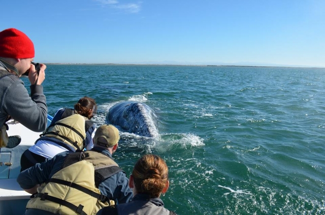 Es hora de que se vaya