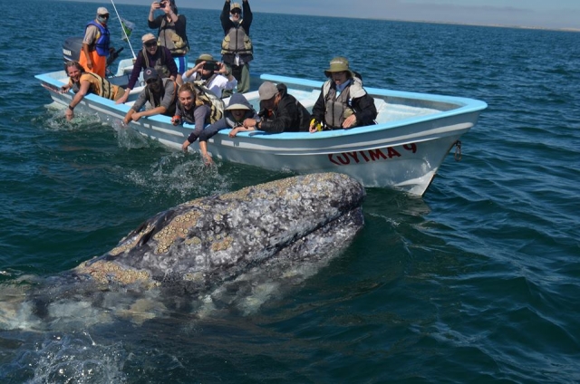 Sorprendente acercamiento