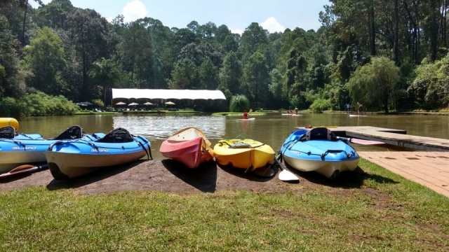 los kayaks
