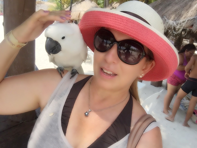 Conoce a las mascotas del parque