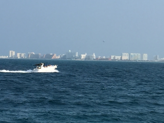 Solo disfruta del mar