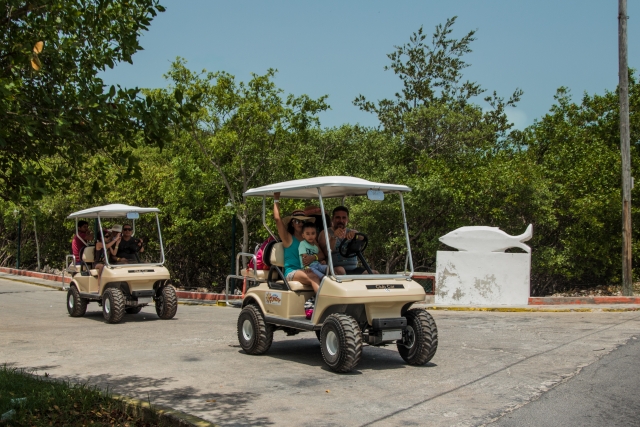 Aprovecha nuestros coches