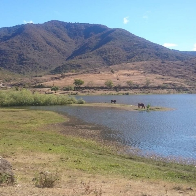 El valte de Teotitlán