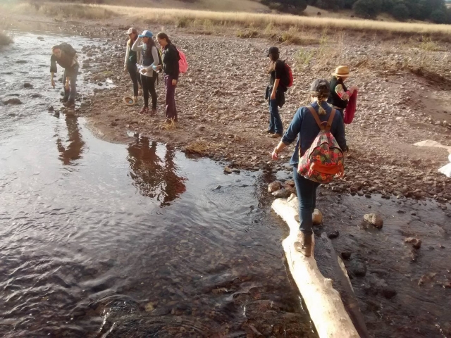 Explorando los riachuelos