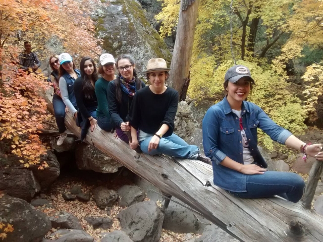 Hazte tu foto en la naturaleza