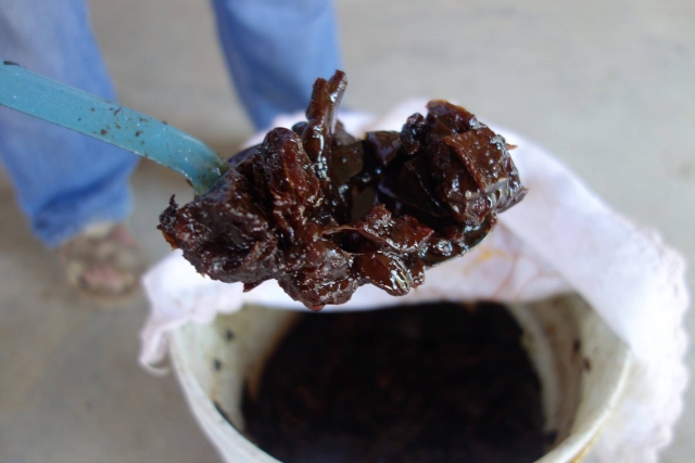 El mezcal antes de hacerlo liquido