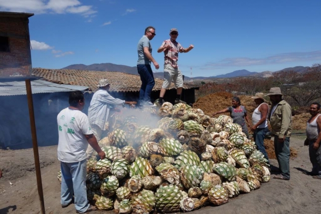 Quemando el maguey