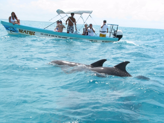 Mira los delfines/sian kaan